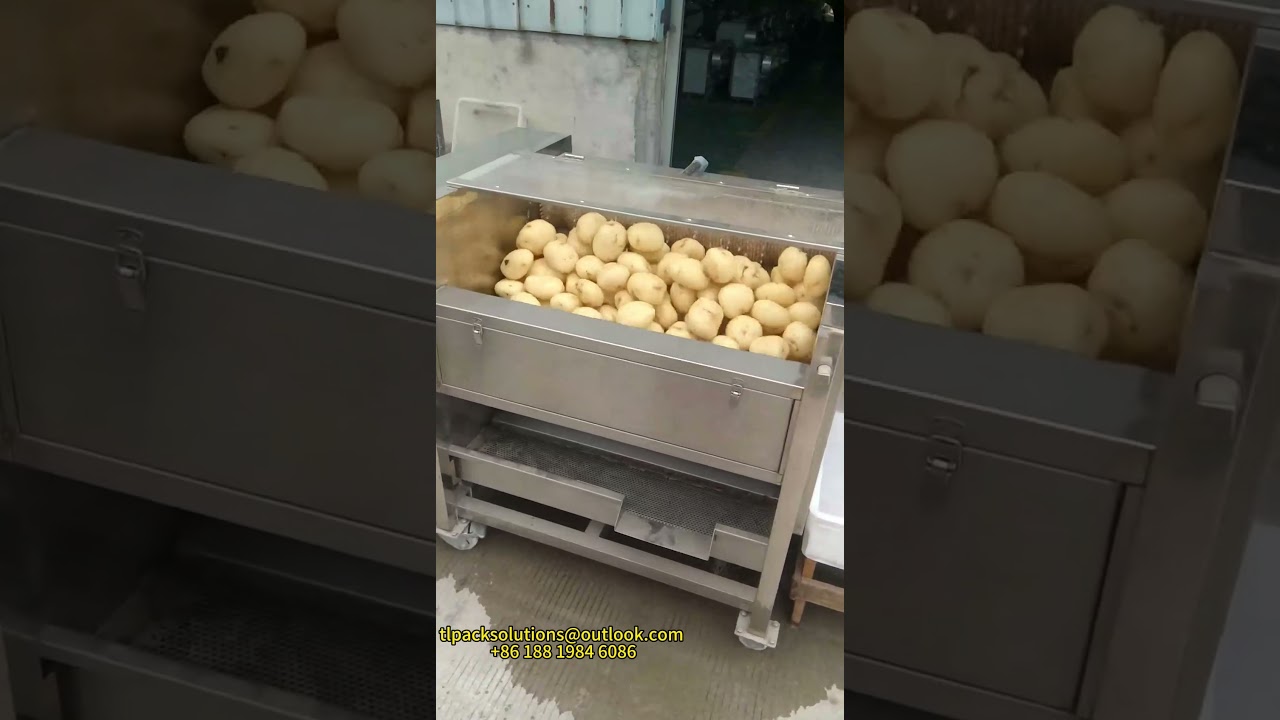 Potato, taro, yam and radish cleaning and peeling machine 馬鈴薯芋頭沙葛清洗去皮機