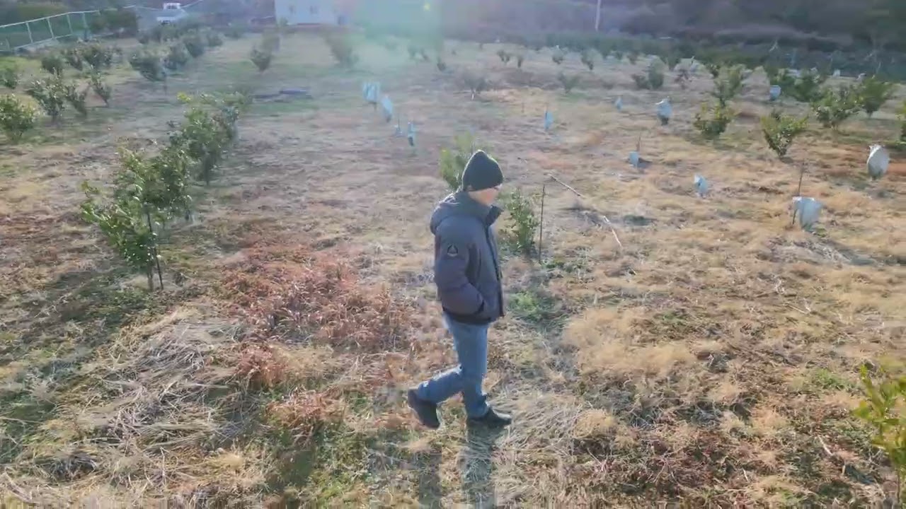 농장 산책 20260201