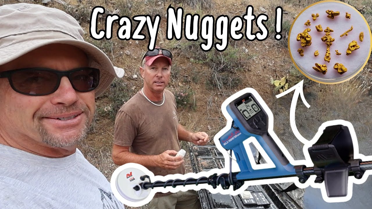 Minelab Gold Monster 2000 сражается с самым маленьким золотом, которое нам удалось найти.