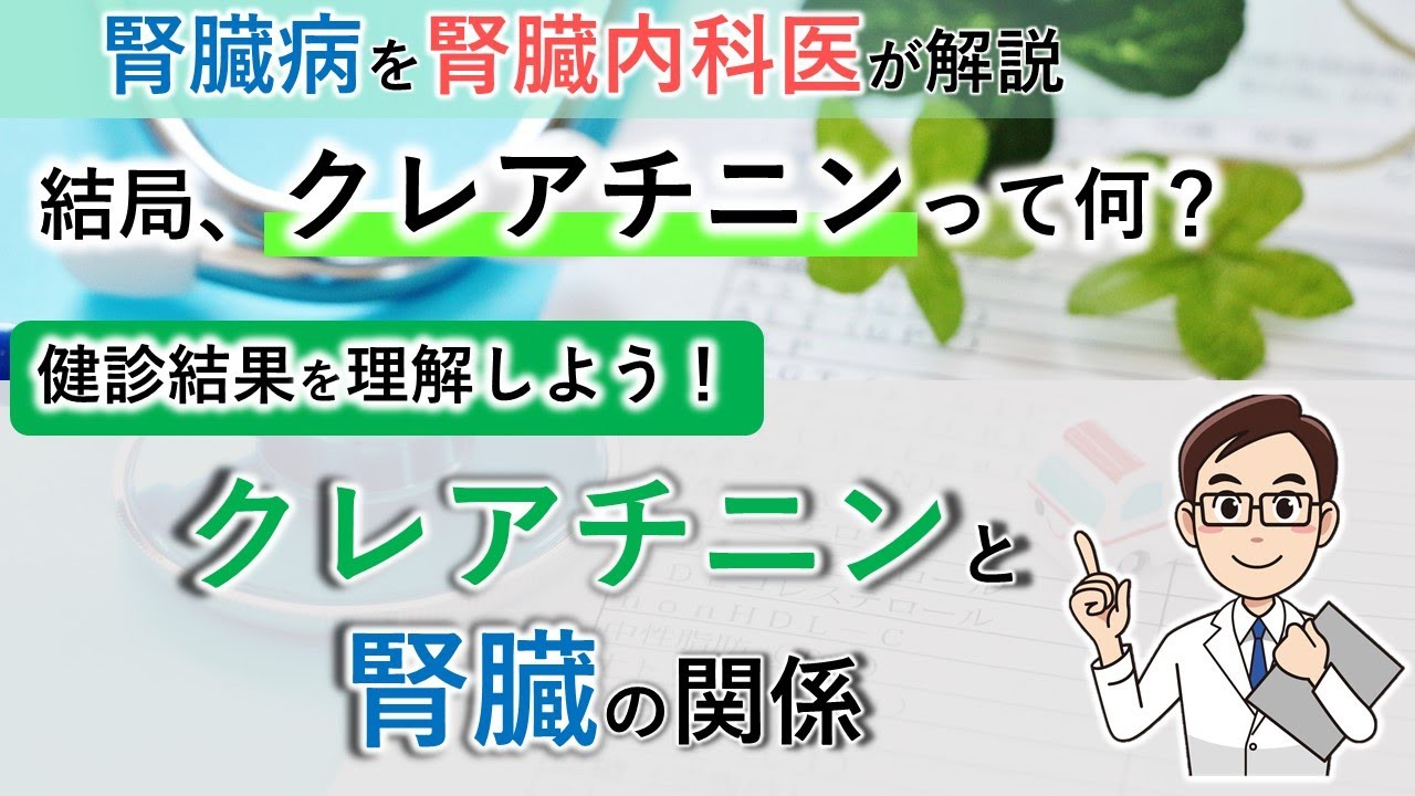 結局、クレアチニンって何？クレアチニンと腎臓の関係を理解しよう【腎臓内科医が解説】