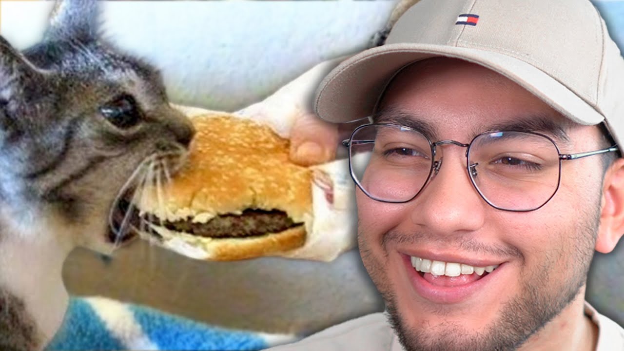 MI CHAT ME MANDÓ TIKTOKS CHISTOSOS