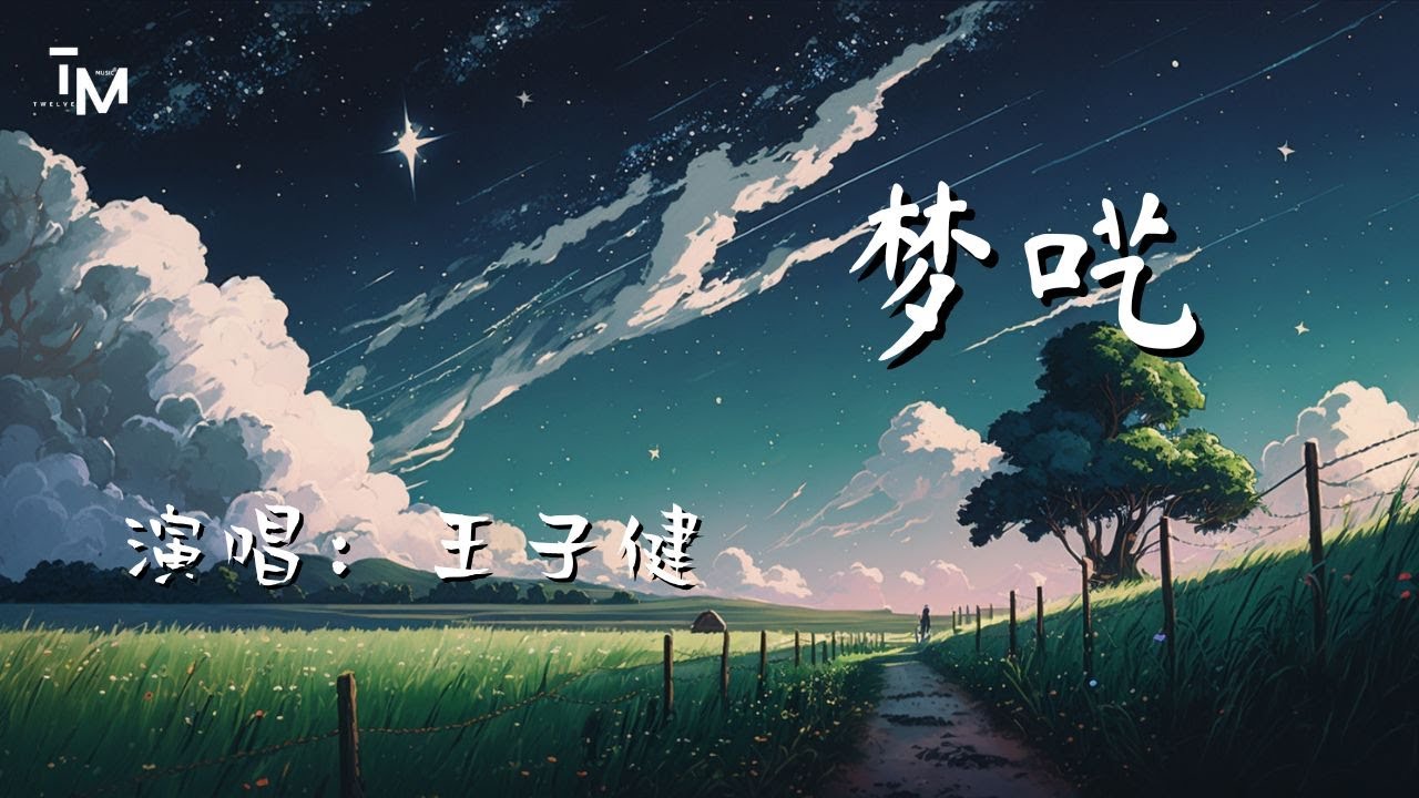 王子健 - 梦呓 （我要我的世界沉睡 我要从半空中下坠 我要把证据都销毁）动态歌词 Music Lyrics