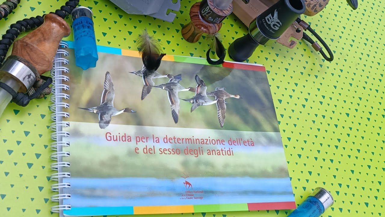 RICONOSCERE età e sesso degli ANATIDI - Guida ACMA