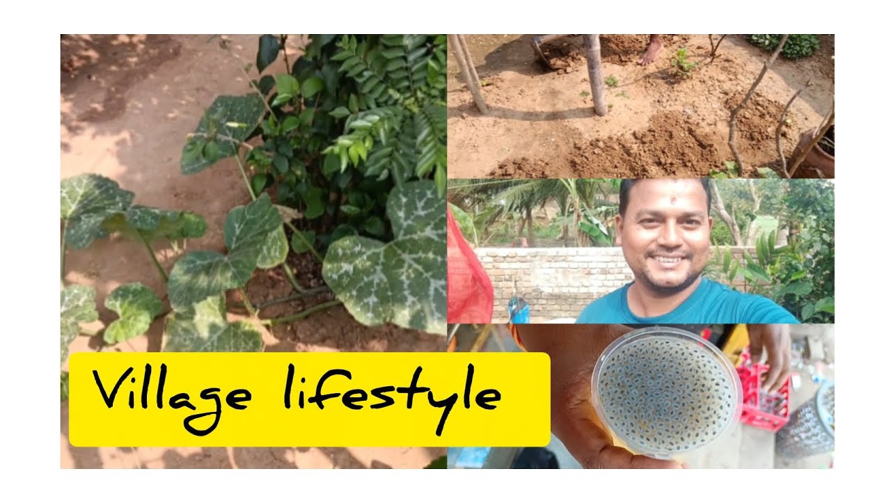 Village lifestyle vlogs 