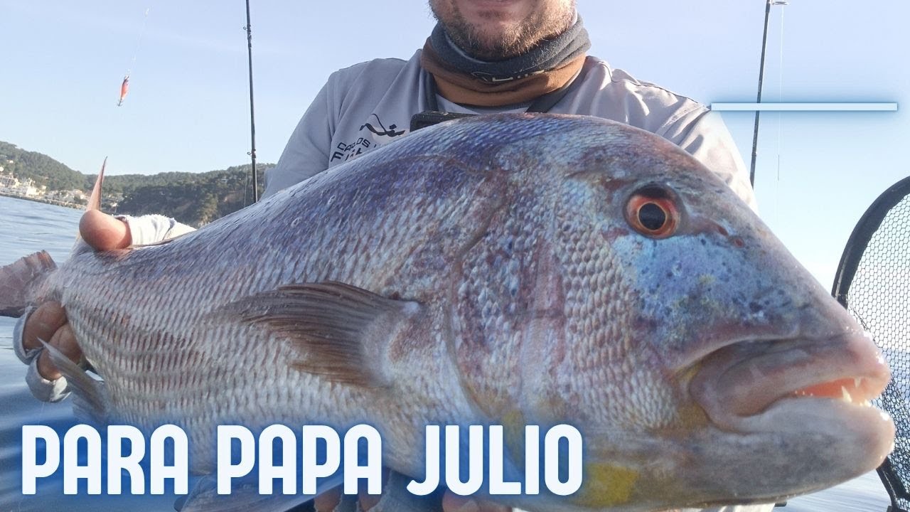 Regreso a mi tierra. Pesca en KAYAK al VIVO.