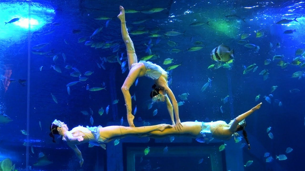 Aquarium Underwater Ballet Skills: Group Connections