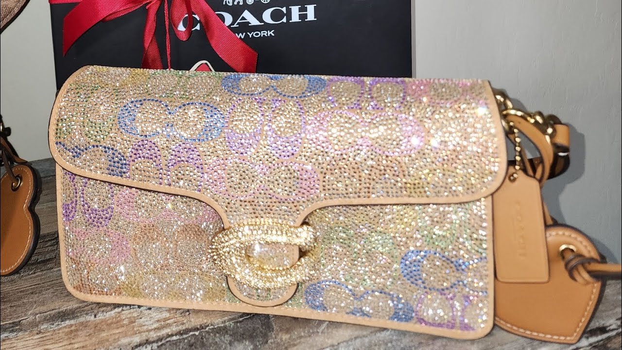💖 Если бы я могла оставить себе только одну сумку Coach 2025 года, это была бы... Coach Rainbow C...