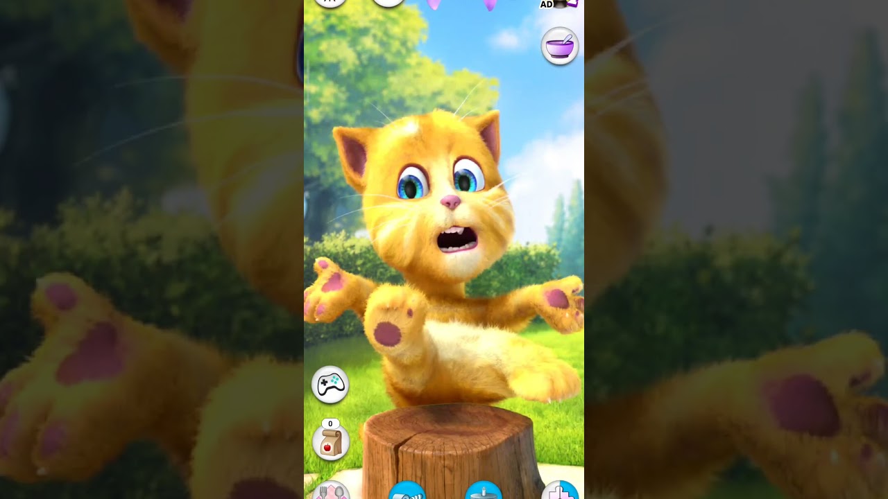 Talking Ginger #short