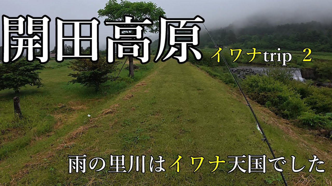 【開田高原】雨降る高原の里川で釣りしてみたら相変わらずのイワナ天国だったよ【渓流ベイトフィネス】