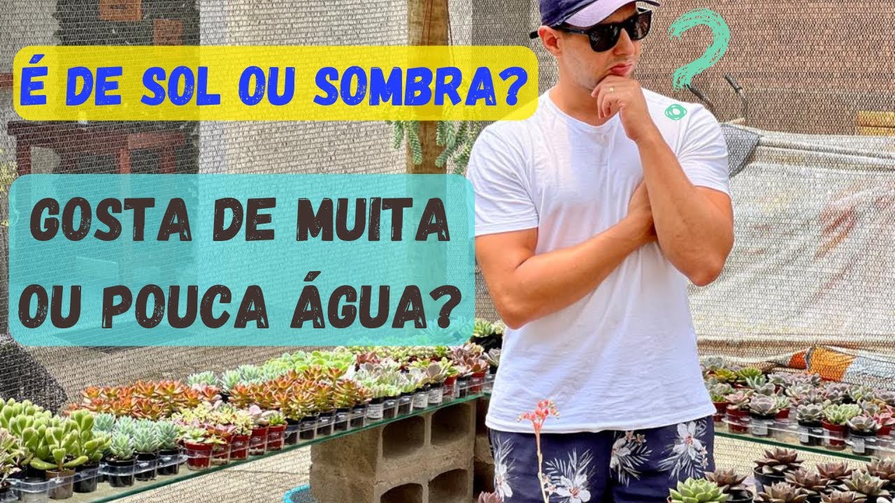 Como cuidar de uma SUCULENTA sem saber a IDENTIFICAÇÃO ?   *você precisa saber disso*