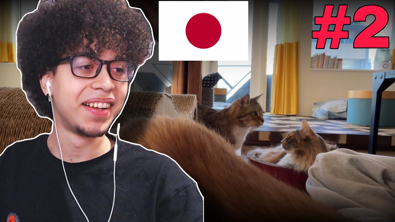 Exploring Tokyo Streets 🇯🇵 + Visiting a Cat Café | Japan Vlog Part 2