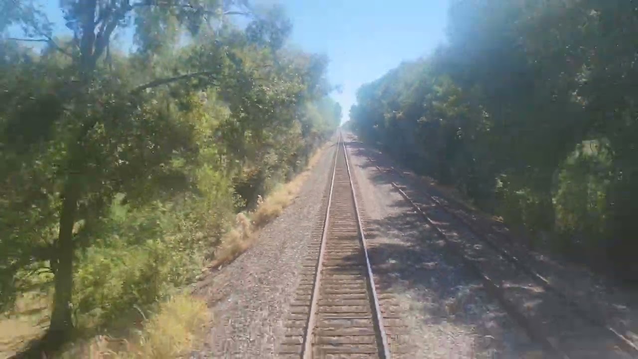 Amtrak Sunset Limited from New Iberia to Lafayette, Louisiana... (Rear View)  11/4/2023