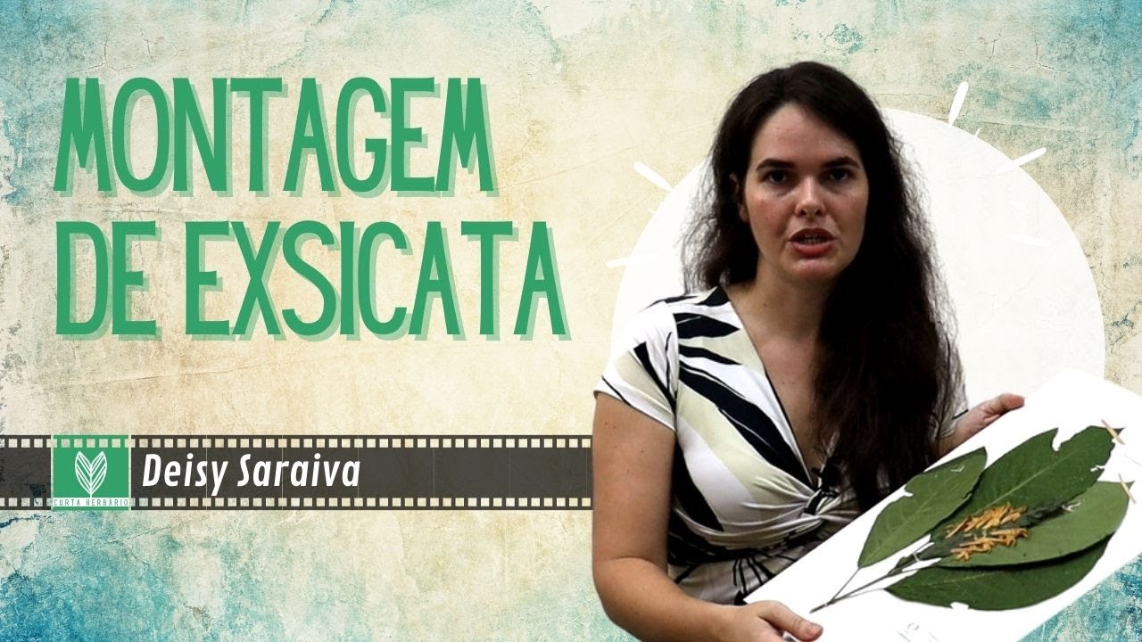 Montagem de Exsicata [08 - CURTA HERBÁRIO]
