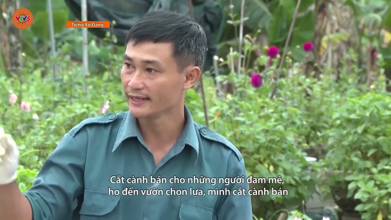 [TIẾNG XƠ ĐĂNG] HIỆU QUẢ CỦA CHI HỘI TRỒNG HOA | VTV5