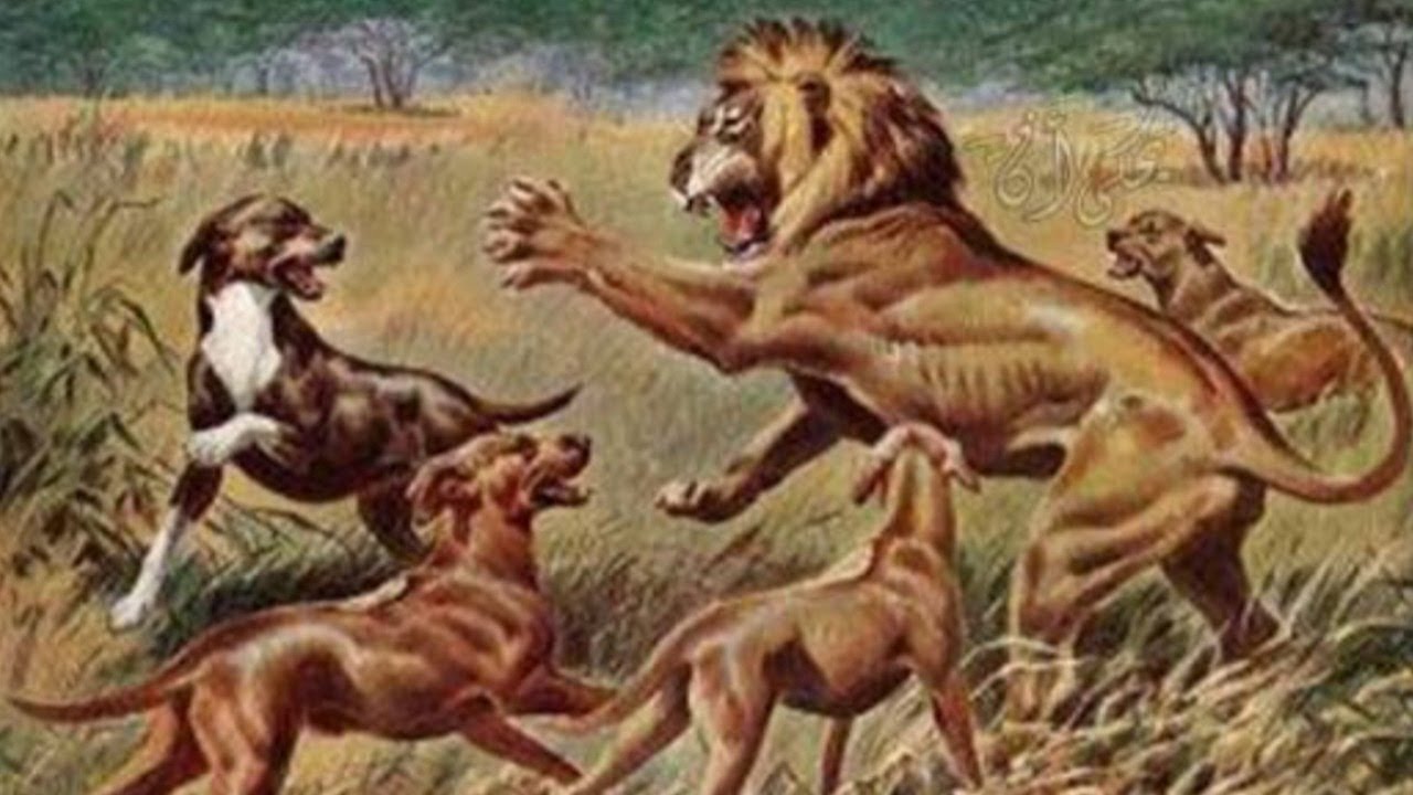 المفروض بقى نصدقكم (( اح----ا))