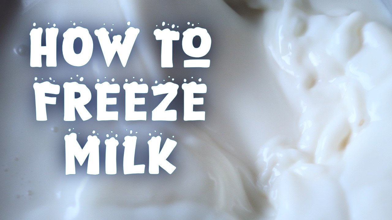 ❄🥛🐑Milk Storage: Freezing for Long-Term Use [Dairy Sheep Chronicles]