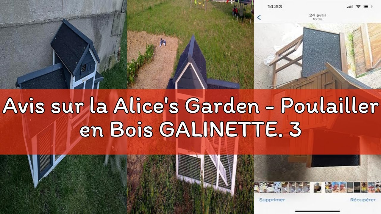 Avis sur la Alice's Garden - Poulailler en Bois GALINETTE. 3 Poules. Cage à Poule avec enclos