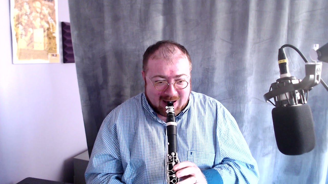 Henri Selmer Echo clarinet mouthpiece