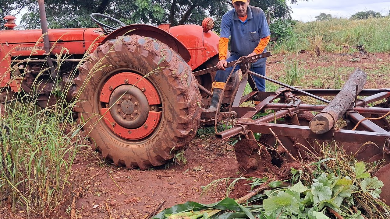 #desbravando o mato# para o plantio  de milho 🌽 🌽 🌽 🌽 🌽 🌽 🌽 