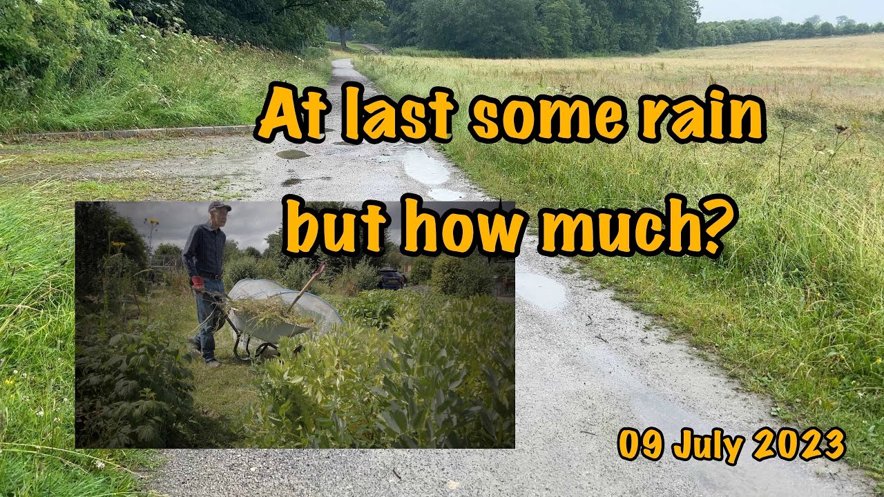 2023-07-09-At last some rain - but how much?
