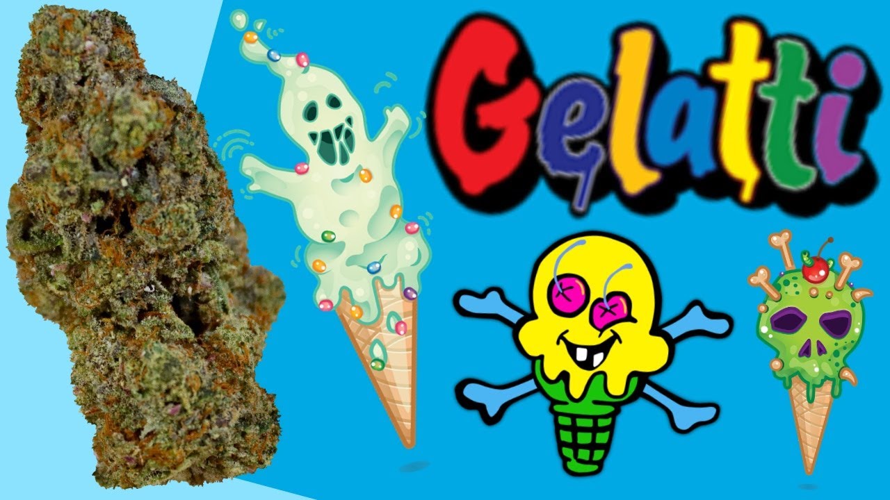 Gelatti OFFICIAL Strain Review
