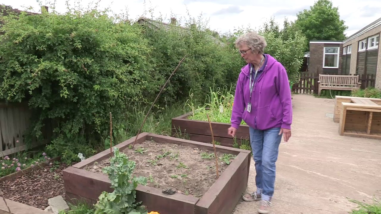 Colnbrook Garden with Sarah - June Update
