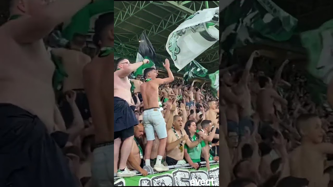 🔆Il fait chaud dans le Kop Nord !