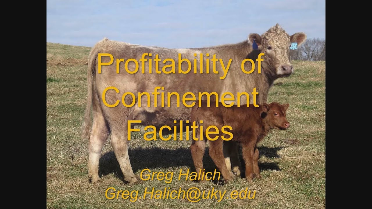 Profitability of Confinement Facilities