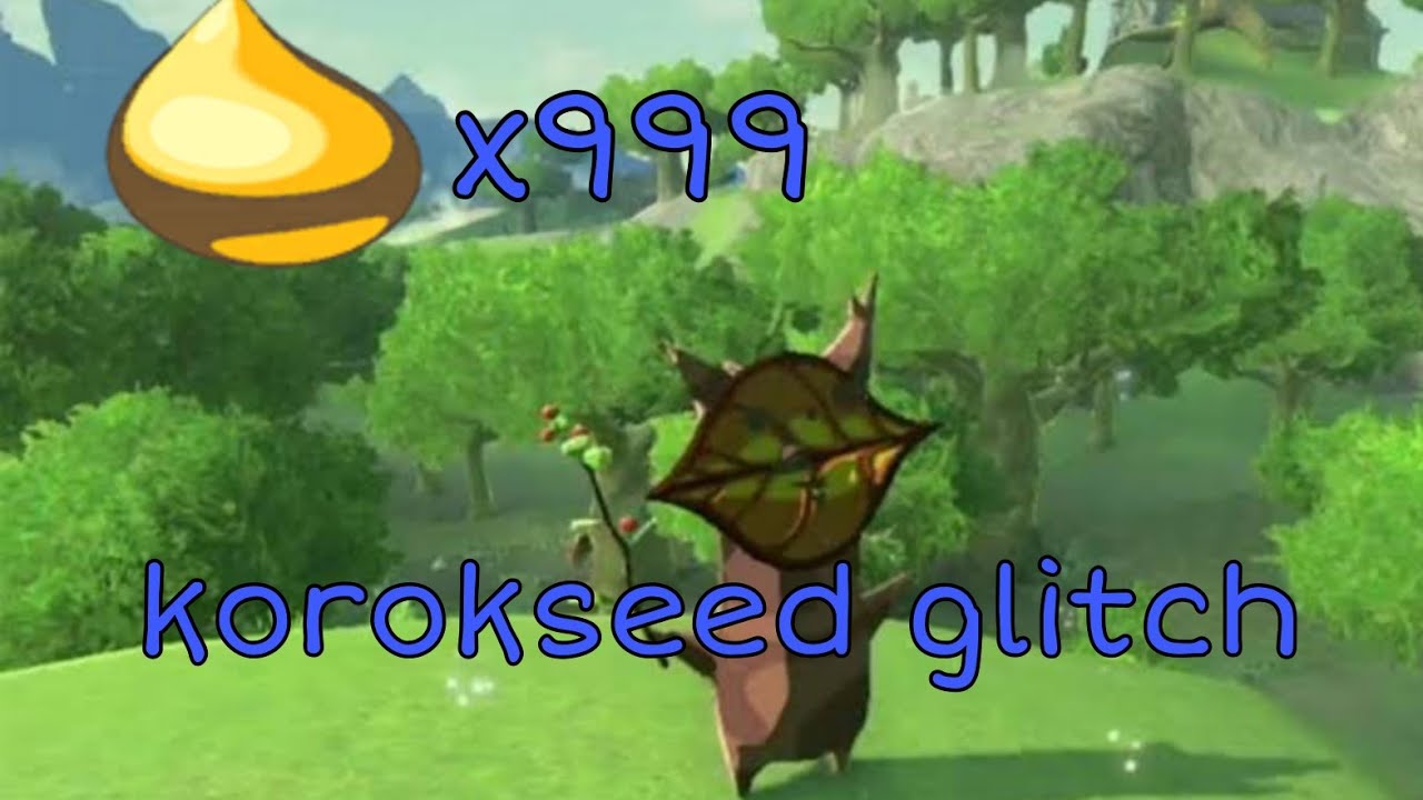 สอนเพิ่ม เมล็ด Korok Seed 999 เม็ด (Glitch)