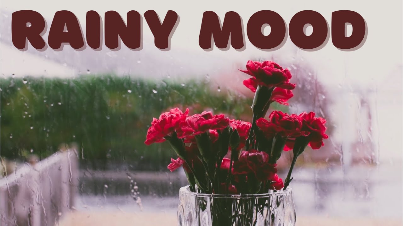 Rainy mood - Relax piano instrumental music