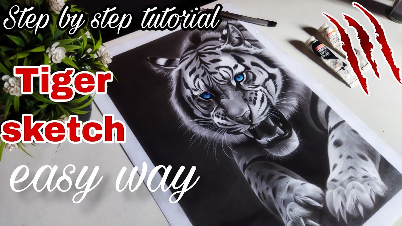 Realistic Tiger Drawing Tutorial Step by Step | Pencil Sketch for Beginners | tiger drawing 