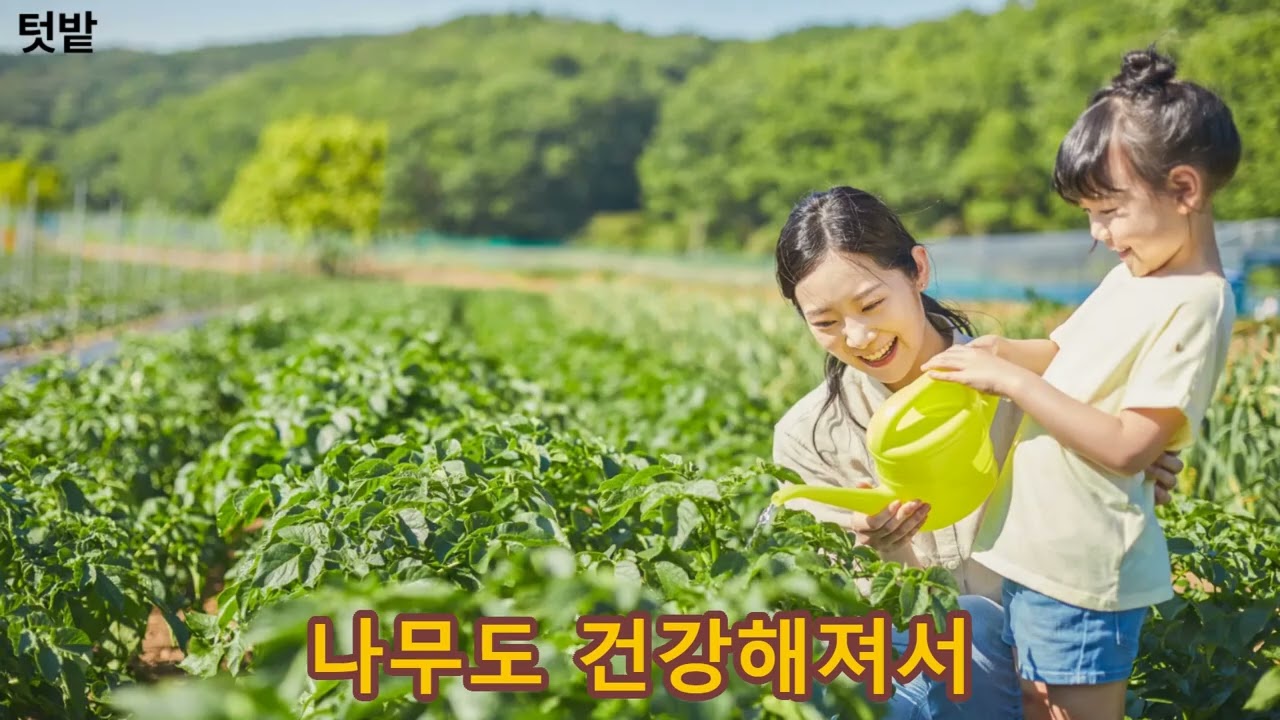 2월13일 출생한 사람은 카리스마적인 기질이 있으나 흙이 물이 없으면 실속없게 됩니다.