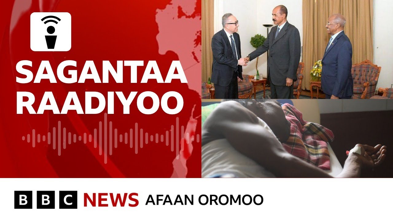 Dhukkubni Jinkaatti lubbuu namoota jahaa dabarse maali? | BBC News Afaan Oromoo