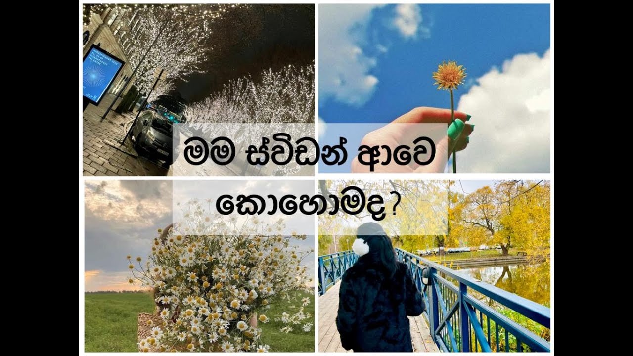 My Sweden Journey | මම ස්විඩන් ආවෙ කොහොමද?
