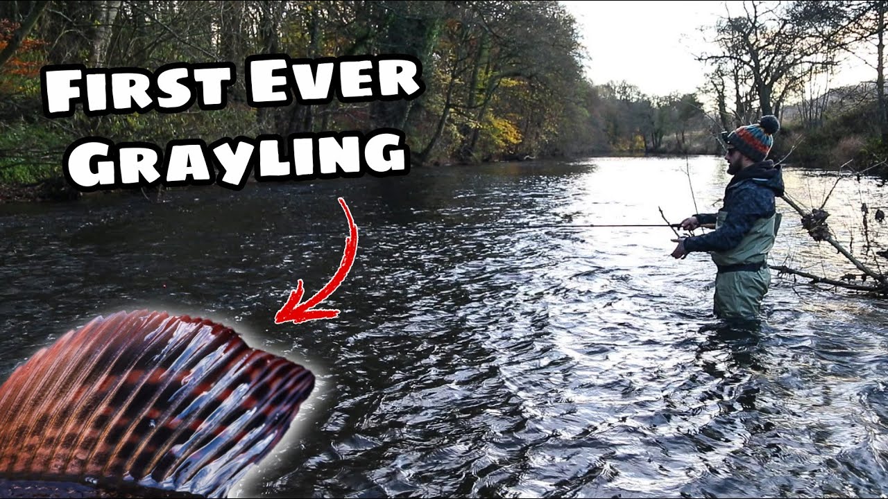 Grayling Fishing - A day in the River