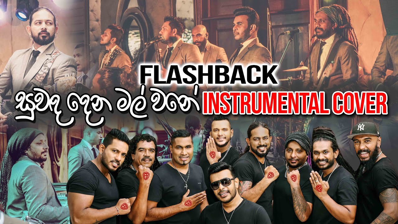 Suwanda dena mal wane | Instrumental Cover | FlashBack