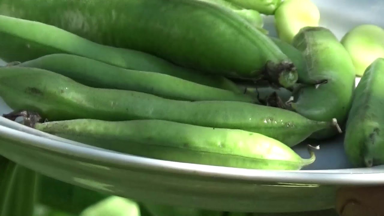 Дачная азбука - БОБЫ