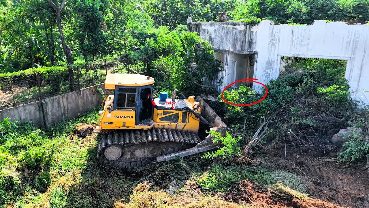 Great power Building Bulldozer SHANTUI Pushes Large Trees into Ponds To Cleaning up Landfills care