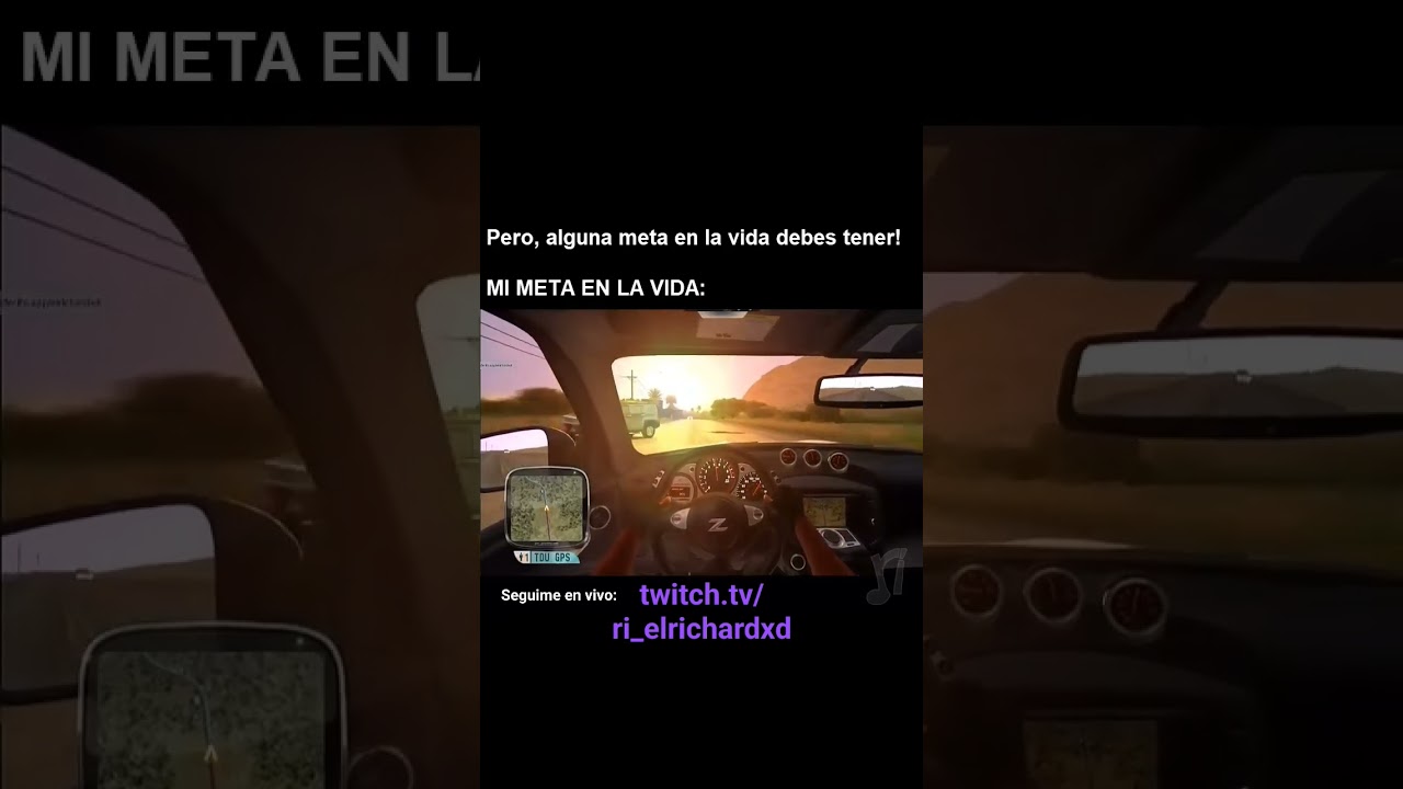 MI META EN LA VIDA: 