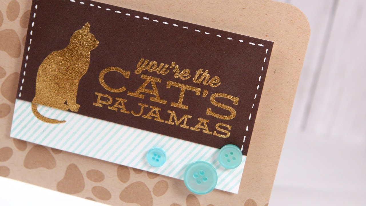 Friday Focus - You're the Cat's Pajamas