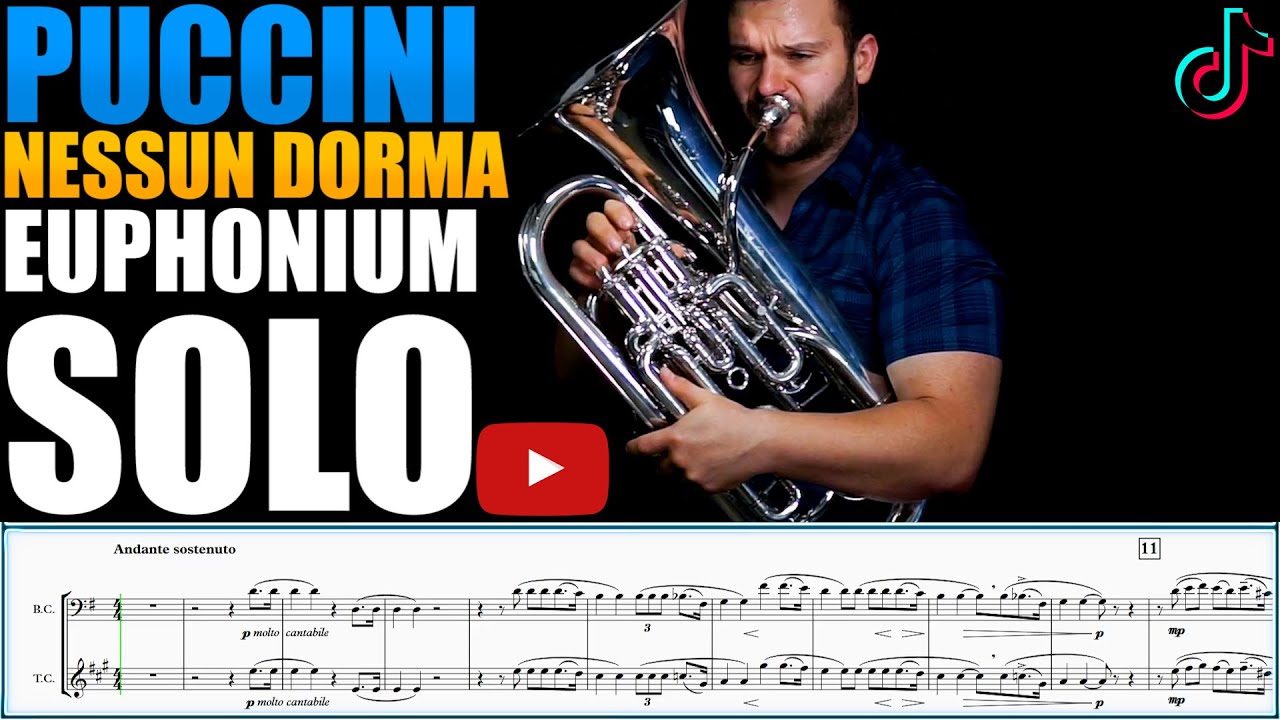 FIFA WORLD CUP THEME Puccini 