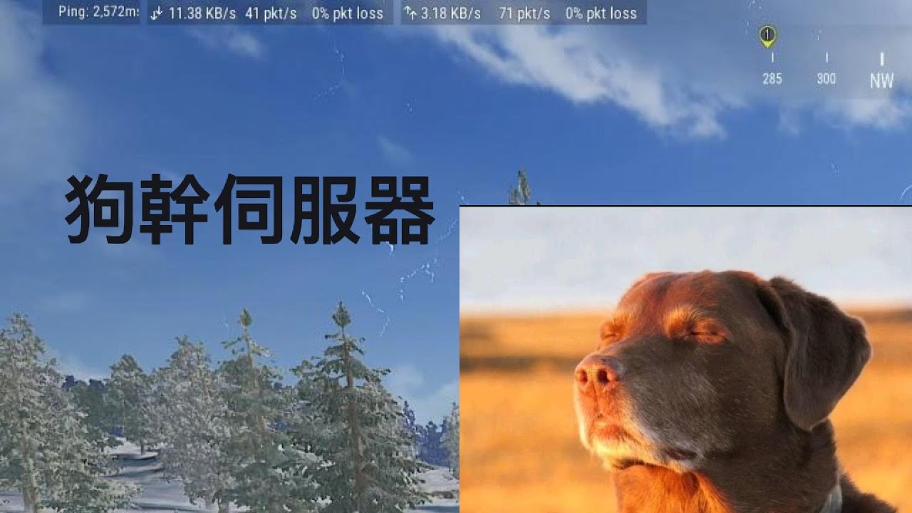 輝狗-PUBG 爆ping之旅