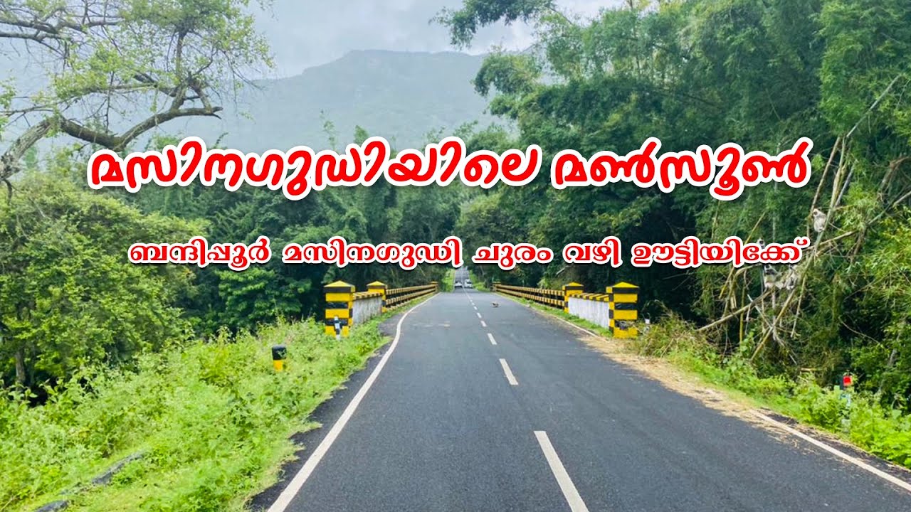 36ഹെയർ പിൻ വളവുകൾ താണ്ടി masinagudi വഴി ഊട്ടിയിലേക്ക് ഒരു മഴക്കാല യാത്ര