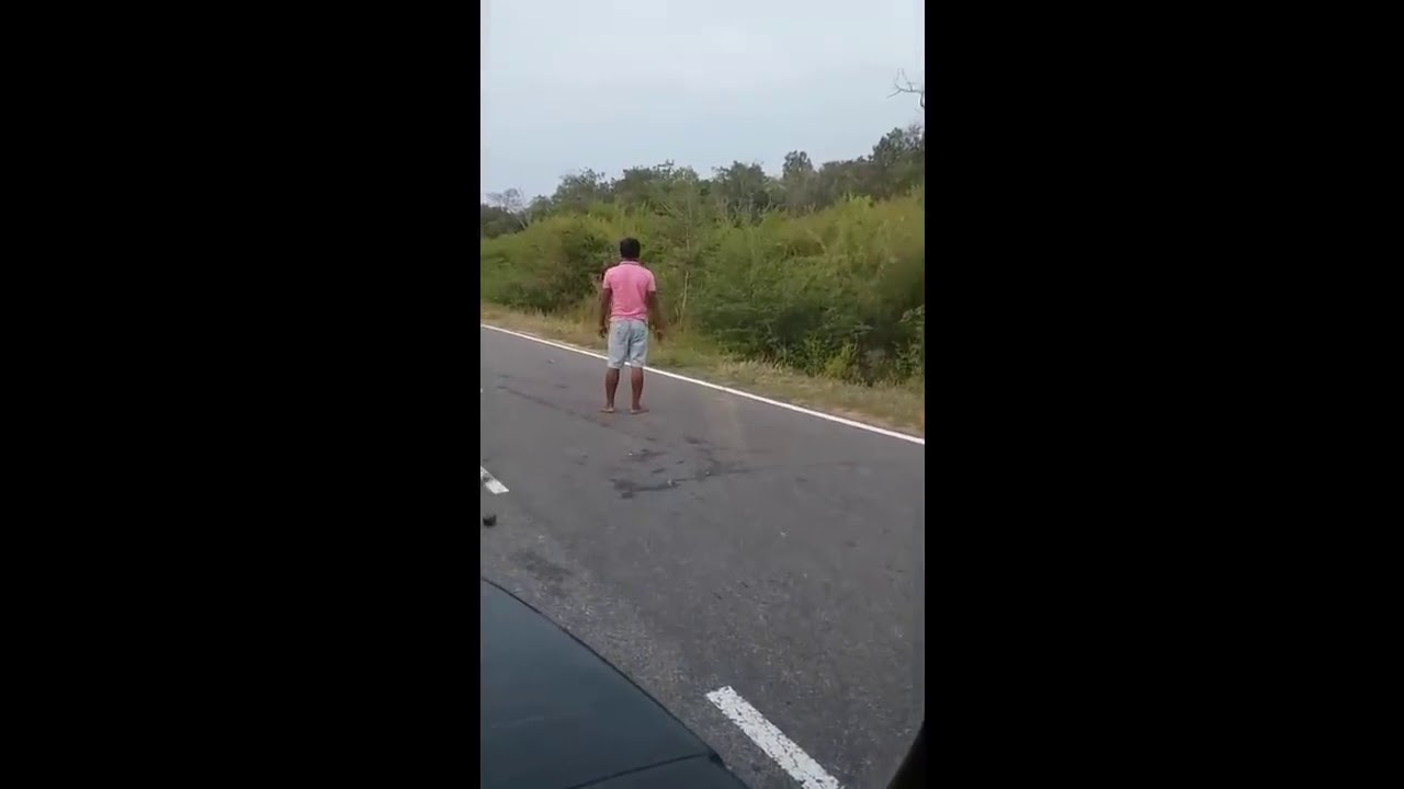 Man Halts Charging Elephants in Sri Lanka