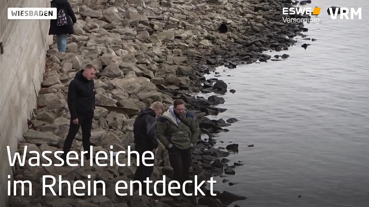 Wasserleiche im Rhein entdeckt