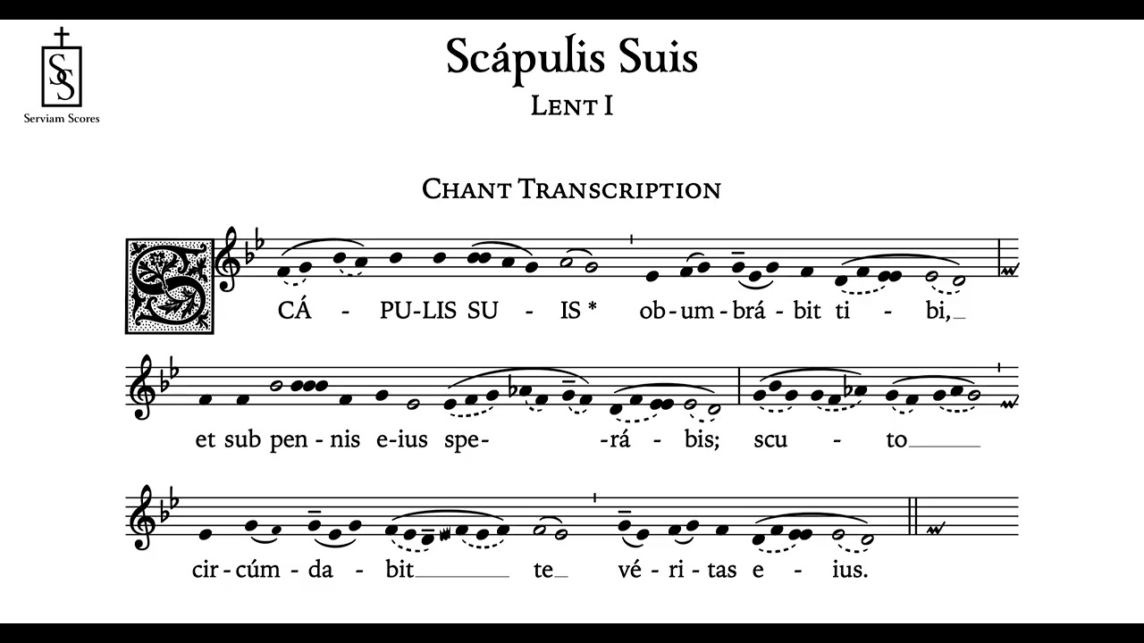 Scapulis Suis • FREE English Transcription