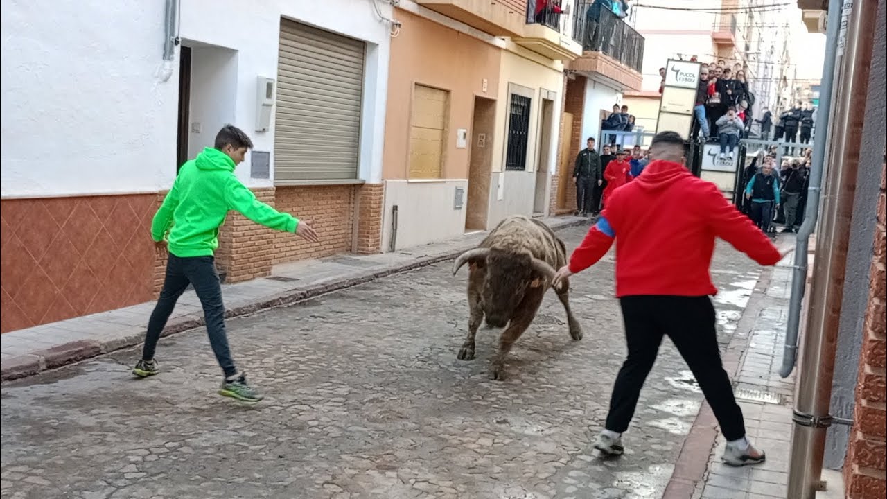 Festejos Taurinos en Puçol 2026 | 2 Toros de Toropasión – ACT Sant Antoni