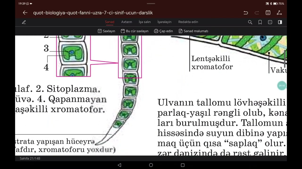 7 ci sinif. Fəsil 2. Mövzu 5-7.yosunlar 🌿