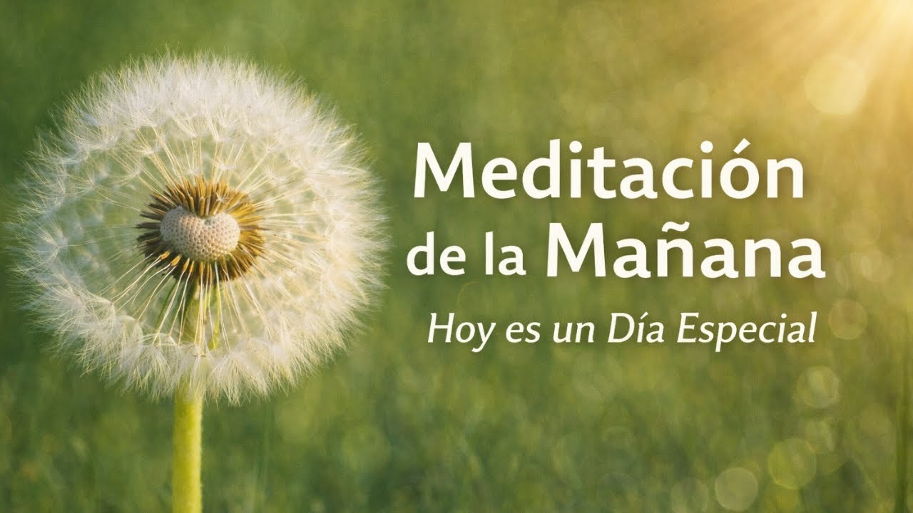Meditaci&oacute;n de la Ma&ntilde;ana ☀️ Hoy es un D&iacute;a Especial | Gratitud y Mindfulnes