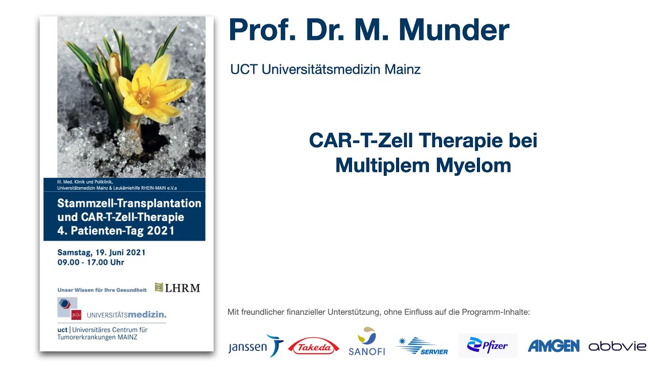 CAR-T-Zell Therapie bei Multiplem Myelom